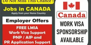 Accountant & Auditor