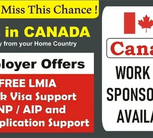 Accountant & Auditor