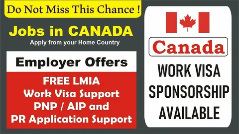 Accountant & Auditor 